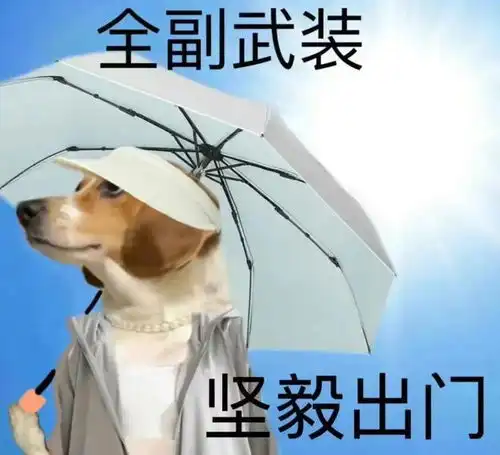  实用天热表情包不和40度以下城市的人交朋友,不熟