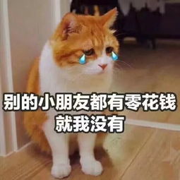  上大学爸妈给生活费不是必须了嘘别让我妈知道