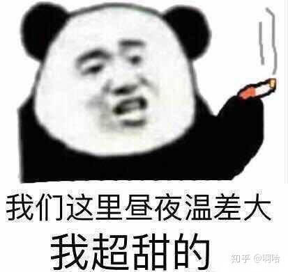  有哪些沙雕熊猫头表情包