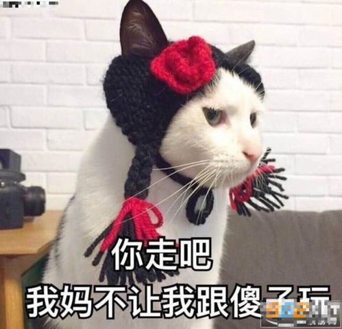 抖音分手就分手表情包合