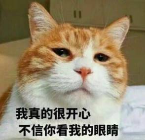  表情包的原型原来是他们,你一定用过