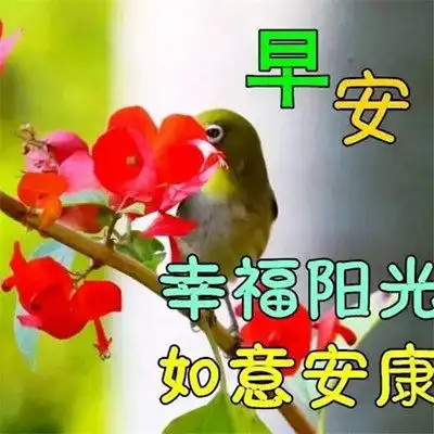 敬主日早上好表情