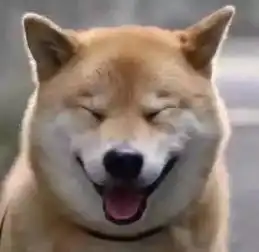  广中医的你清明吃啥