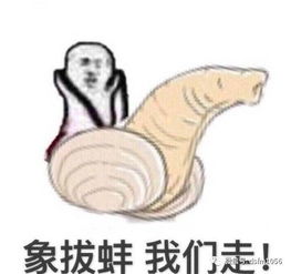  砀山小伙花288块钱北京游了4天竟然还包所有门票