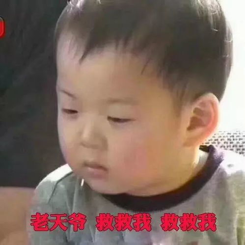 未响应表情包麦玲玲