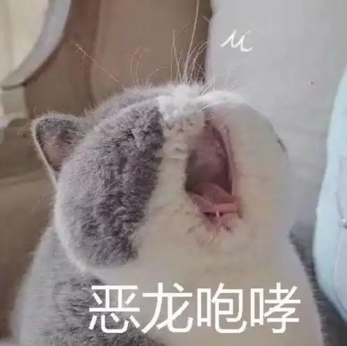 稀奇古怪