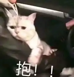  e句话看天下丨抱抱傅园慧