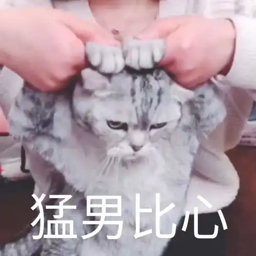  十五六岁女生化妆,你怎么看