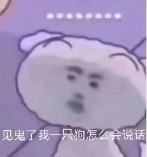  无标题