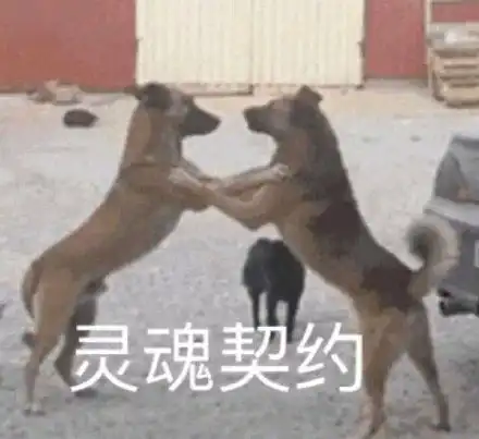  喷饭表情标哈哈哈哈这些图片真滴搞笑有人再更