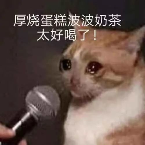  表情包丨你这个迷人的小坏蛋
