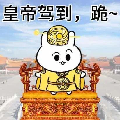  一些奇奇怪怪可可爱爱的微信聊天表情包