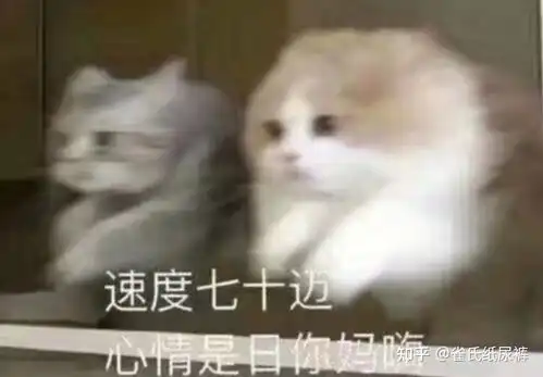 若若跑的贼快表情包蔡明