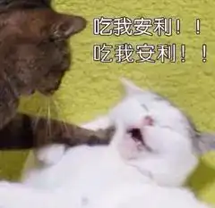  有哪些好的购物app推荐