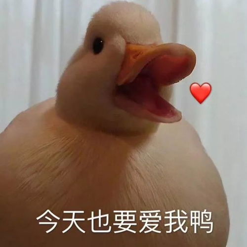  如果你不看这条推送,这个七夕算是白过了,还损失了几个亿...