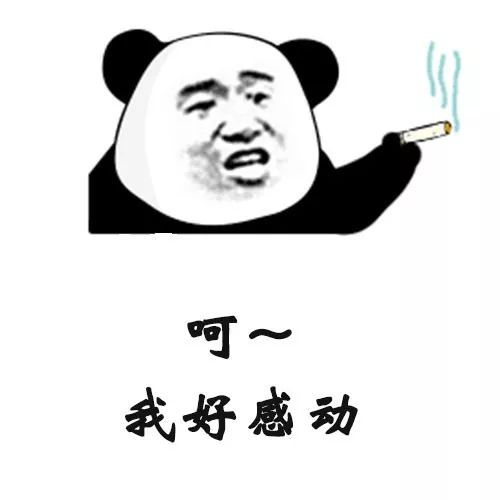  抖音最火表情包i请问这辈子有没有女孩子为你拼过命