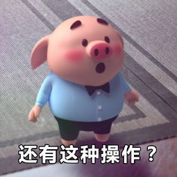  猪小屁表情包无水印版