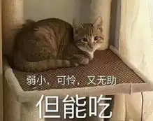  咬一口满满的都是苏州味道工作可以996但吃饭可不能将就