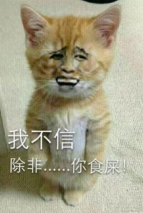  包子周报君越你上市为啥用丁字裤做背景