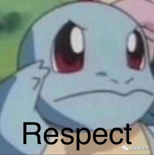 respect什么意思表情包