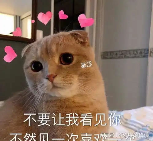  猫咪喜欢你,信任你,才会对你发出这些信号