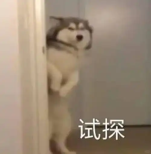  酒精含量爆表塘厦查获一名超醉驾标准4倍的猫王