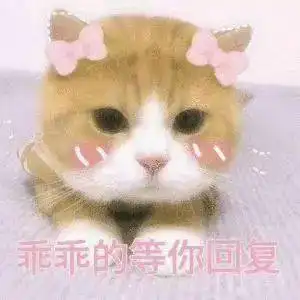  小情侣聊天表情包说不过你但我喜欢你