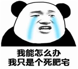  表情包能量守恒,亦如我给你的爱永不消失