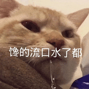  沙雕表情包不约没看到我在学习吗