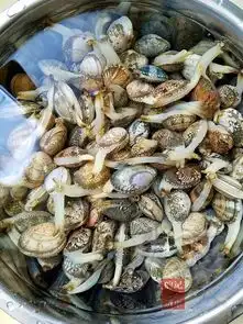 朋友圈里最火的一款大包子,你肯定没吃过 朋友圈里最火的一款大包子,你肯定没吃过