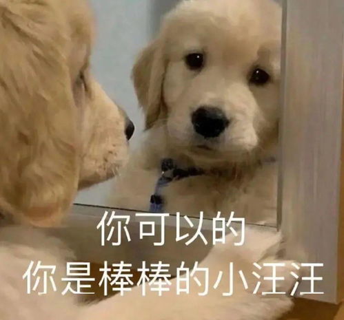 内卷...考核...加班...打工人崩溃瞬间为什么工作后我的同事都在考frm