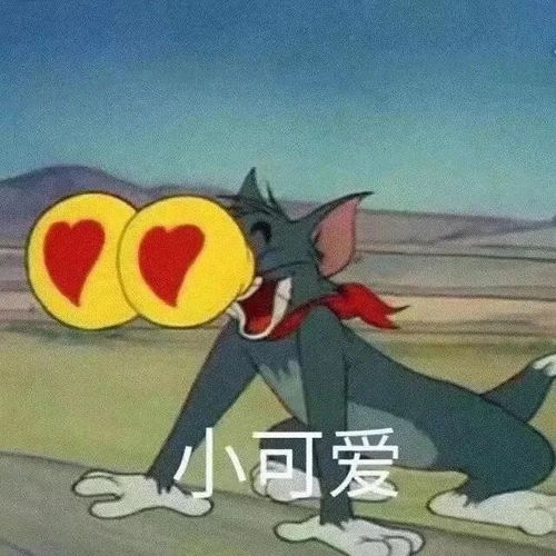 猫爪系列表情包猫和老鼠