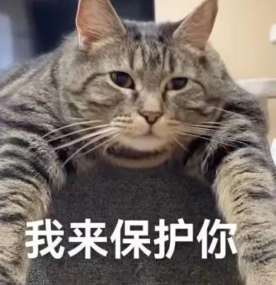  嗯嗯嗯你说得对丨第832期喵表情包