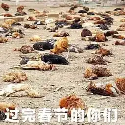  鸡年斗图必备不用这些表情包,怎么好意思跟别人聊天逗乐