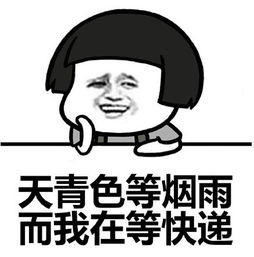  双十一等快递表情包2017下载双十一等快递表情包2017高清无水印版极光下载站