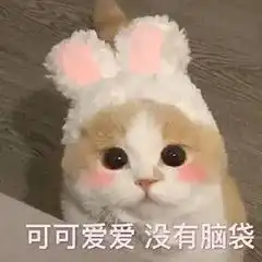  2020年,女人的25个心愿,最后一个大家都想实现
