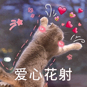  可爱撩人表情包你说,你在外面是不是有别的猫了