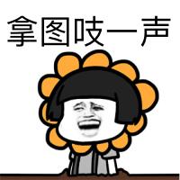  斗图怼人专用表情包给我道歉,不关我事,骚的都是他们