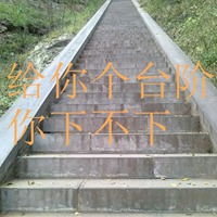  给你个台阶你下不下头像