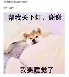  悼念表情包柴犬之前,是不是应该先了解一下事实