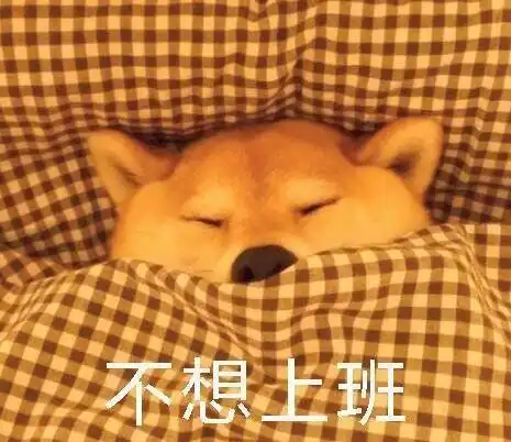  春节可以怎么约