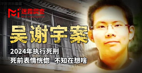  学霸弑母案主犯2024年执行死刑,临刑前表情恍惚,耐人寻味