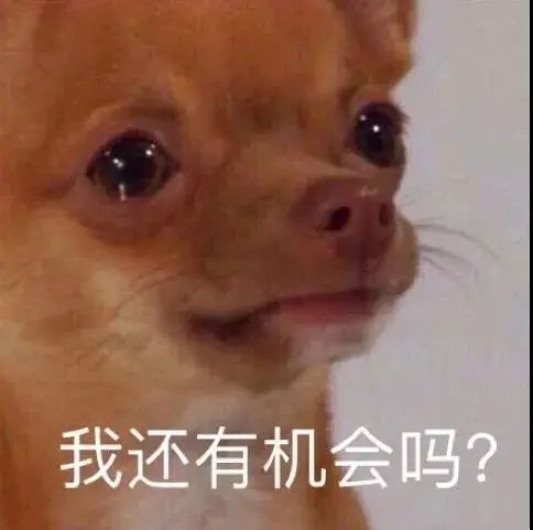  姐妹追着我要的表情包