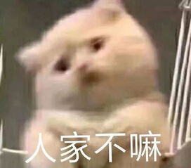  招生季千万不要报考晓庄的十大理由