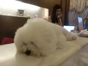  13天12夜超详细大学毕业posequeen环岛游非主线非穷游海量摆拍图片