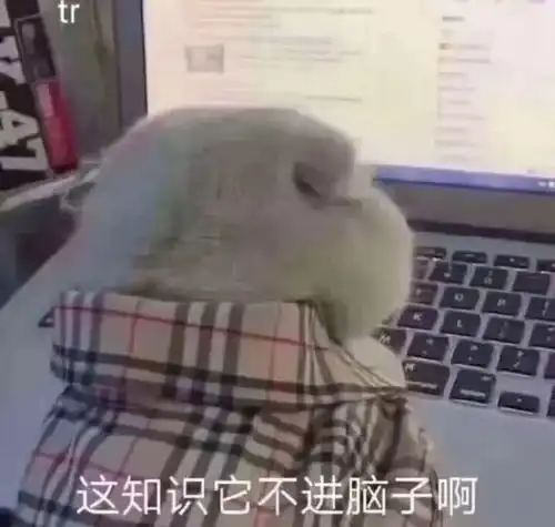  上网课到底是一种怎样的体验