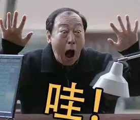  没有表情包,我就不会好好聊天了