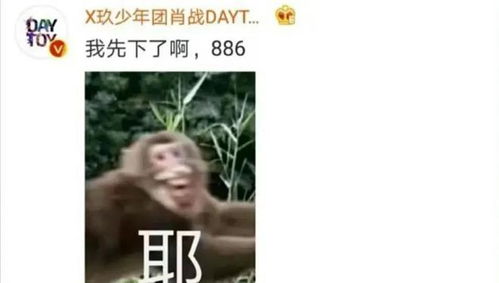 自暴自弃表情包白毛女