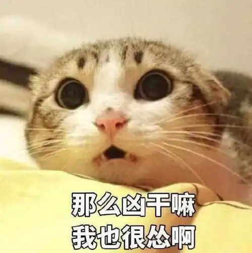 棒棒的图片表情包搞笑