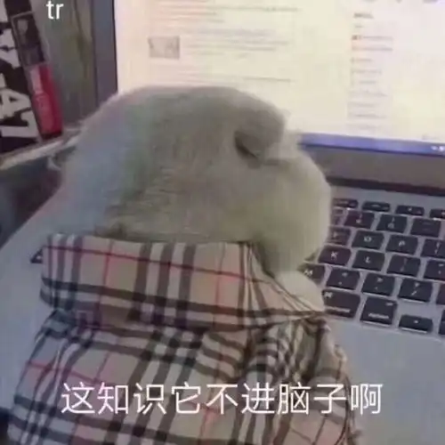  次氯酸钠分解出来是气休还是液体